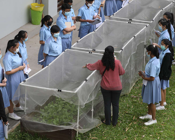 Understanding why high performing S’pore science, math students have low confidence in these subjects