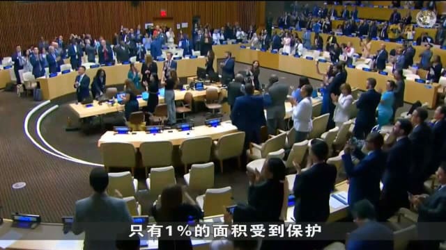 我国将在今年9月签协议 争取尽快核准保护公海生物多样性