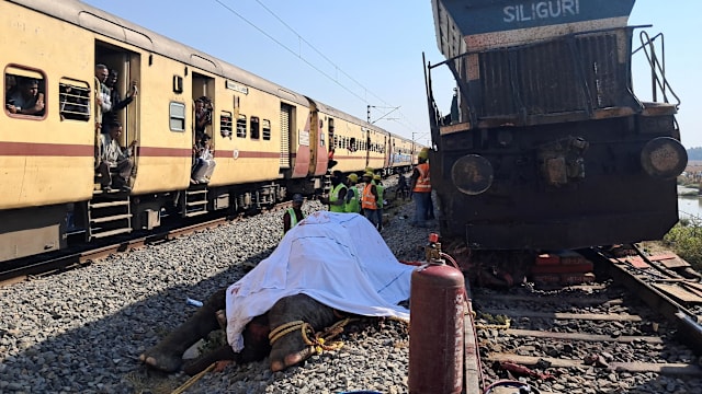 印度阿萨姆邦发生火车和象群相撞事故 致七头大象死亡