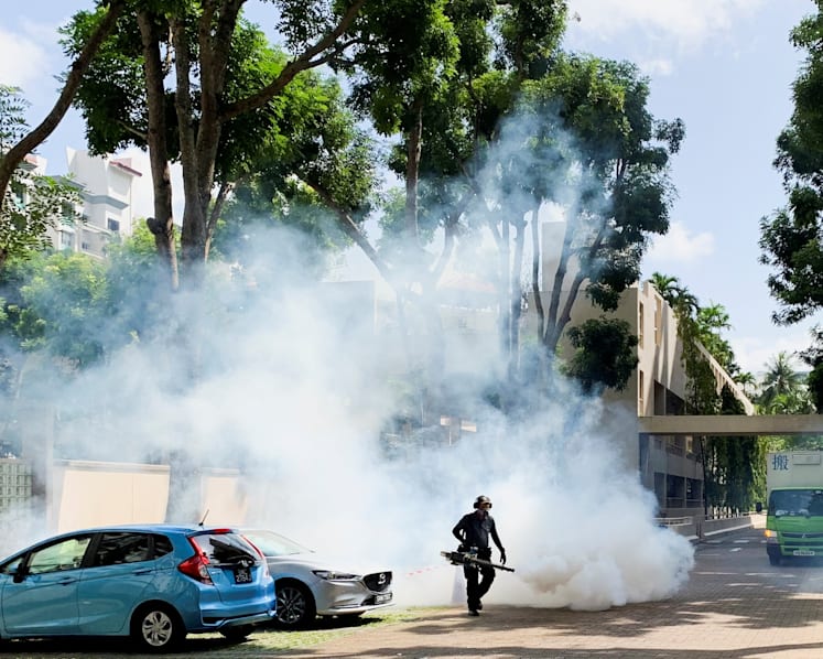 More dengue cases expected in 2022; continued work-from-home arrangements a factor: NEA 