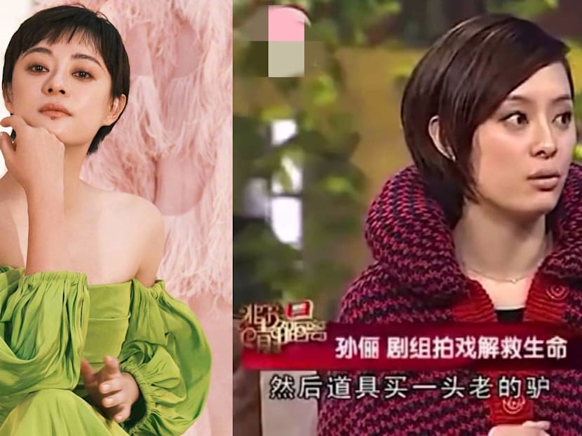 Sun Li Once Saved A Donkey From Being Blown Up For Real During A Drama Shoot
