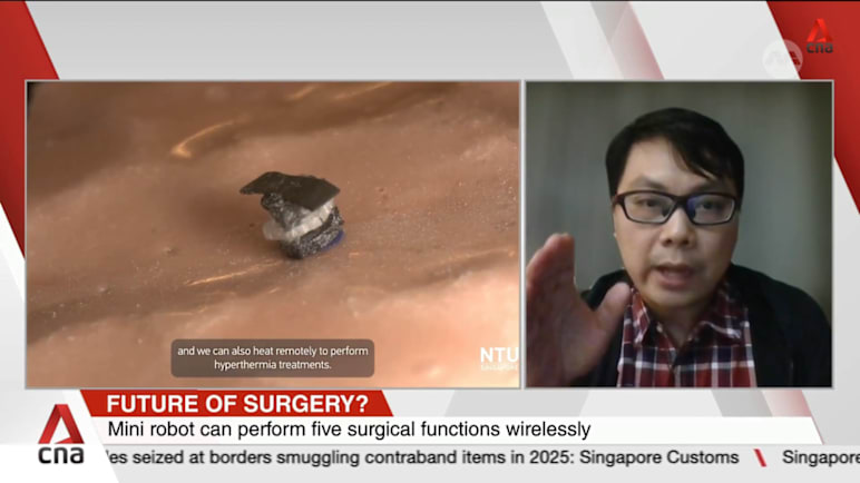 NTU scientists develop seed-sized surgical robot