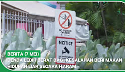 BERITA (7 Mei) | Denda lebih berat bagi kesalahan beri makan hidupan liar secara haram