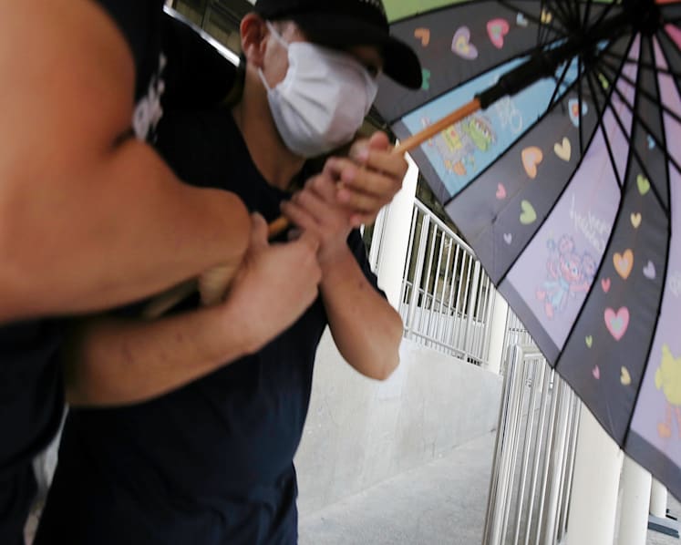 Yishun cat abuse suspect out on bail