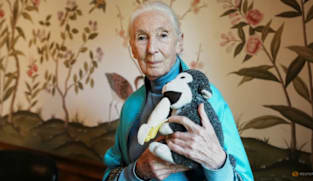 What Jane Goodall taught us about living a long life