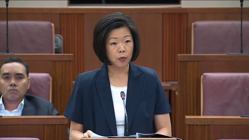 Sim Ann on arrestability in domestic violence cases