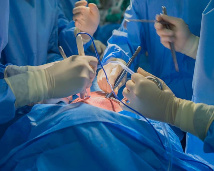 Commentary: Patients are dying unnecessarily while waiting for organ donors