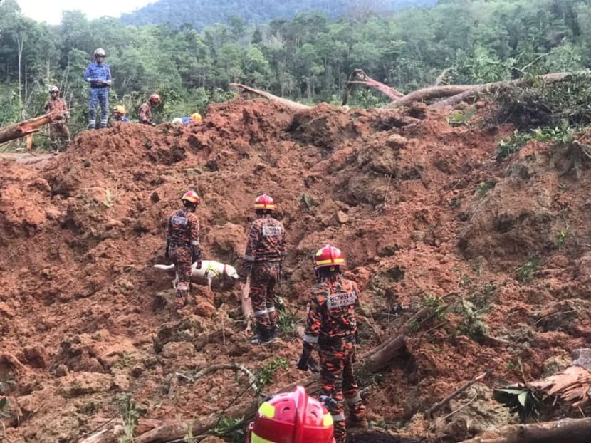 Rescuers work during a rescue and evacuation operation following a landslide at a campsite in Batang Kali, Selangor state, on the outskirts of Kuala Lumpur, Malaysia, Dec 16, 2022, in this picture obtained from social media.
Rescuers work during a rescue and evacuation operation following a landslide at a campsite in Batang Kali, Selangor state, on the outskirts of Kuala Lumpur, Malaysia, Dec 16, 2022, in this picture obtained from social media.