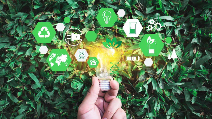 Data and the investment paths to net zero