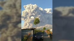 Related article image