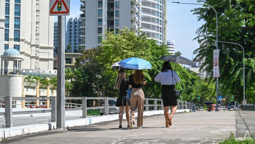 Concerns grow over heat-related health risks as Singapore gets warmer