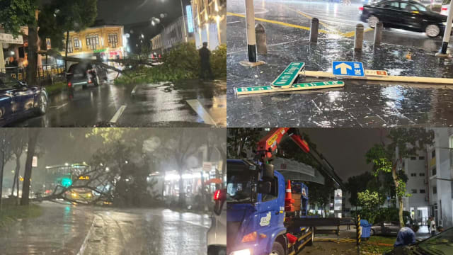 中秋夜狂风大雨树倒压车 异物砸大华银行大厦外玻璃棚