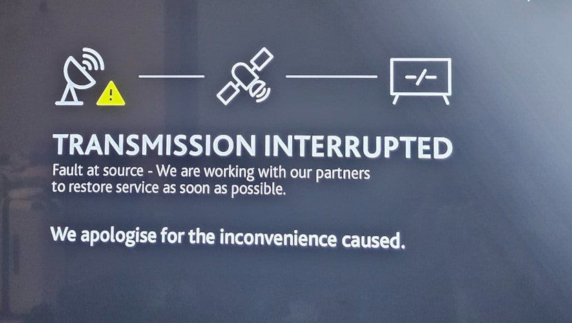 Disruption in Germany-Hungary Euro 2024 broadcast caused by 'transmission glitch' from source