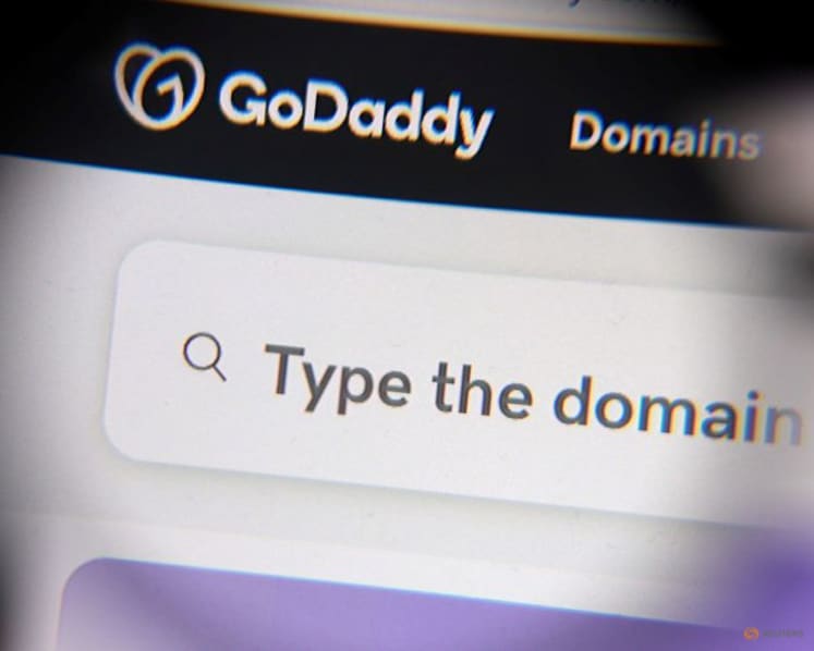 Exclusive-World's biggest domain seller fears India's fake site crackdown could damage internet