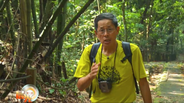 晨光|早点.说：台湾作家刘克襄 以独特视角观察本地