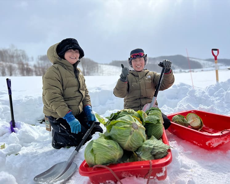 Escape the tourist crowd and discover the beauty of Furano in Hokkaido