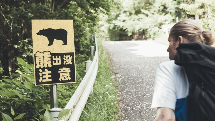 Bear kills another person in Japan in record year for fatal attacks Bear kills another person in Japan in record year for fatal attacks