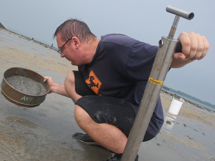 Searching the coast for marine life