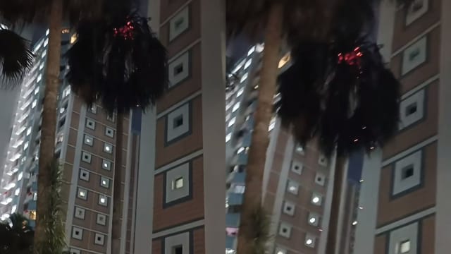 裕廊西组屋草坪大树起火燃烧 民防部队用水枪灭火