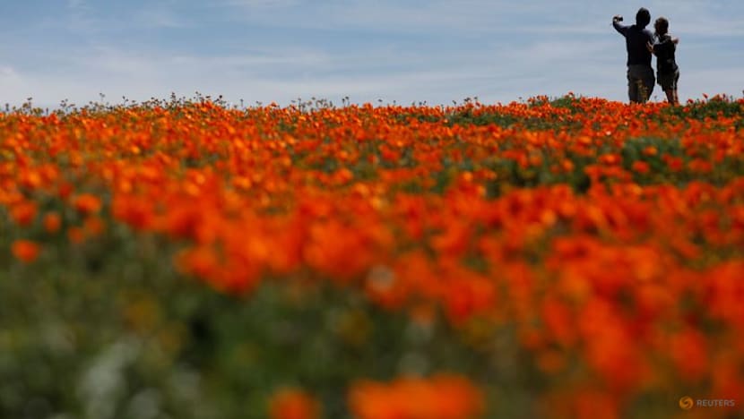LA28 unveils floral-inspired visual identity for 2028 Olympics