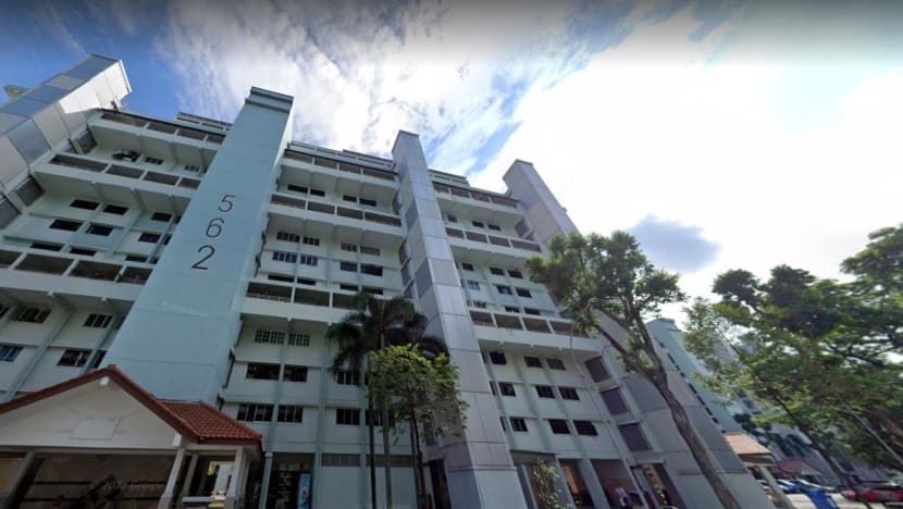 Pilihan tempoh pajakan lebih pendek bagi pemilik flat SERS akan manfaatkan warga emas, kata penganalisis