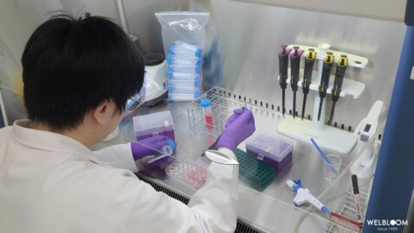 Patented Ingredients Help Malaysian Supplement Brands Stand Out as Wel-Bloom Bio-Tech Expands Market Presence