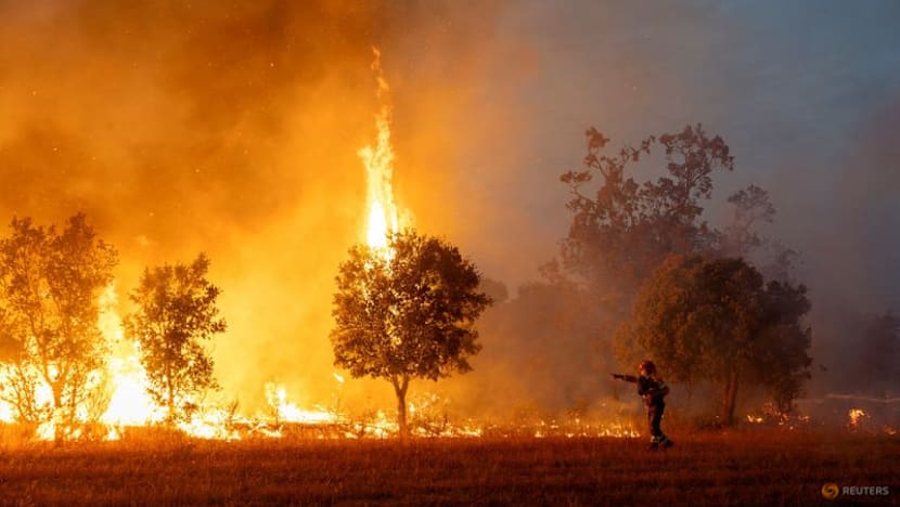 France, Spain assess scorched terrain as new wildfires threaten other regions