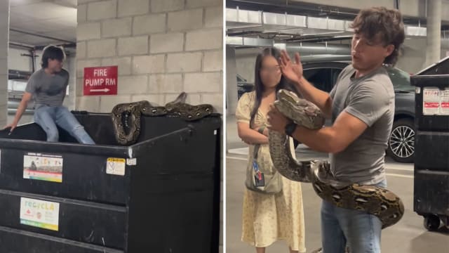 六公尺巨蟒疑病重遭弃垃圾桶 爬虫猎人徒手救援