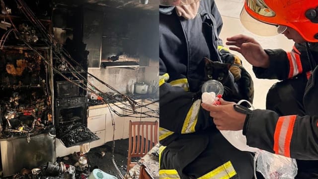 裕廊东组屋厨房失火 一婴送院 两猫需输氧