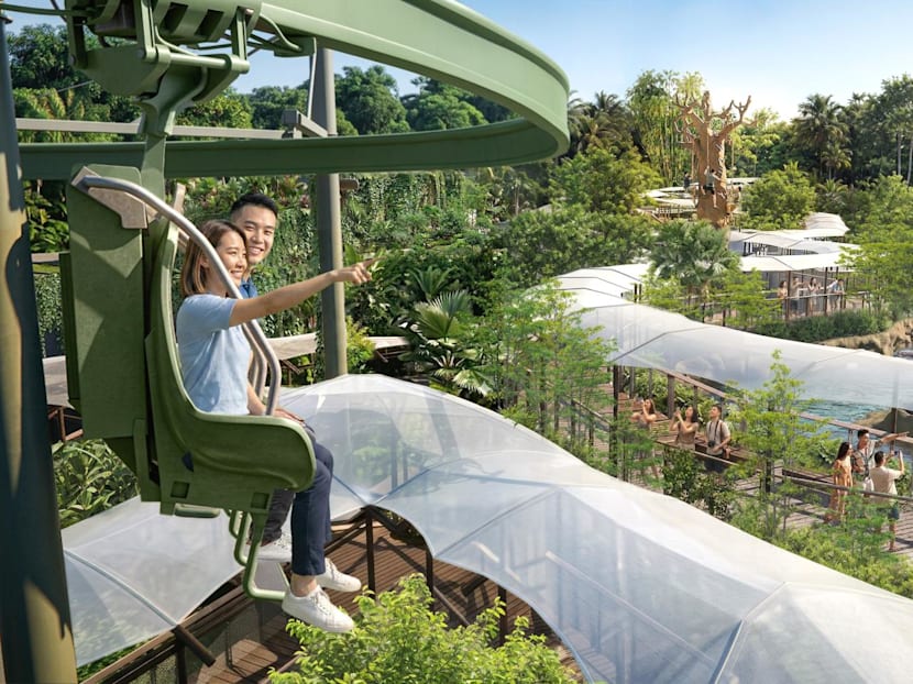 Mandai’s Rainforest Wild Adventure will soft open second phase from May 20 with more attractions and wildlife