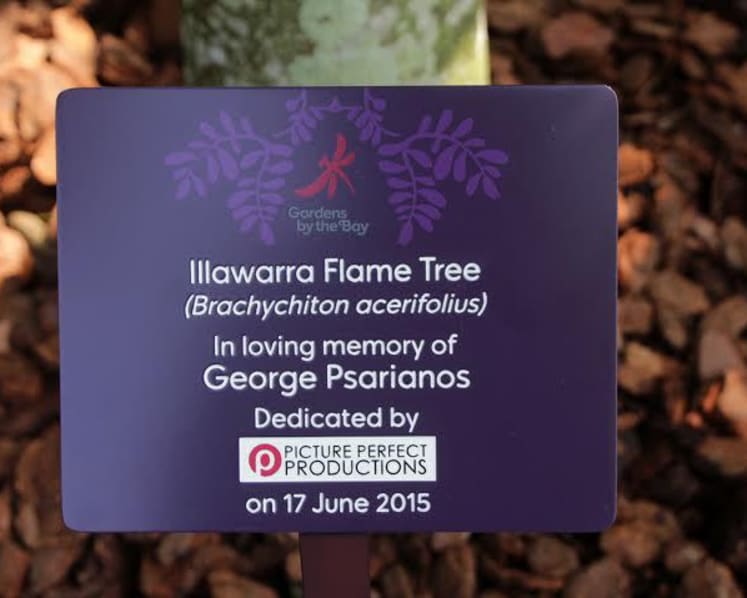 Australian is first person to adopt a tree at Gardens by the Bay