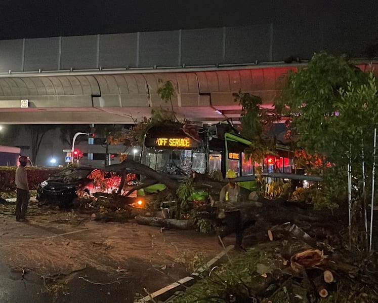 Trees felled by strong winds as heavy rain hits Singapore