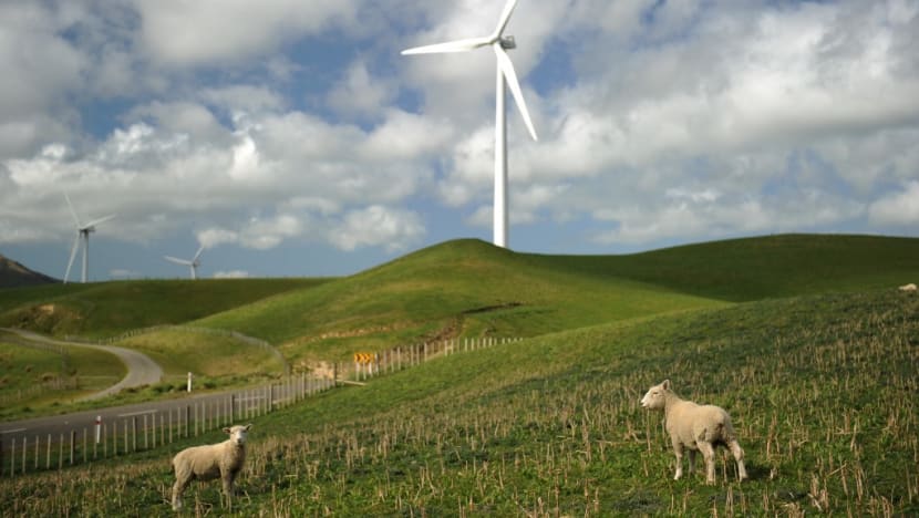 New Zealand, Cambodia cite political risks due to high energy transition costs New Zealand, Cambodia cite political risks due to high energy transition costs