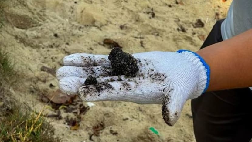 Operasi bersihkan tumpahan minyak di pantai SG capai kemajuan 'lebih pantas dari jangkaan'