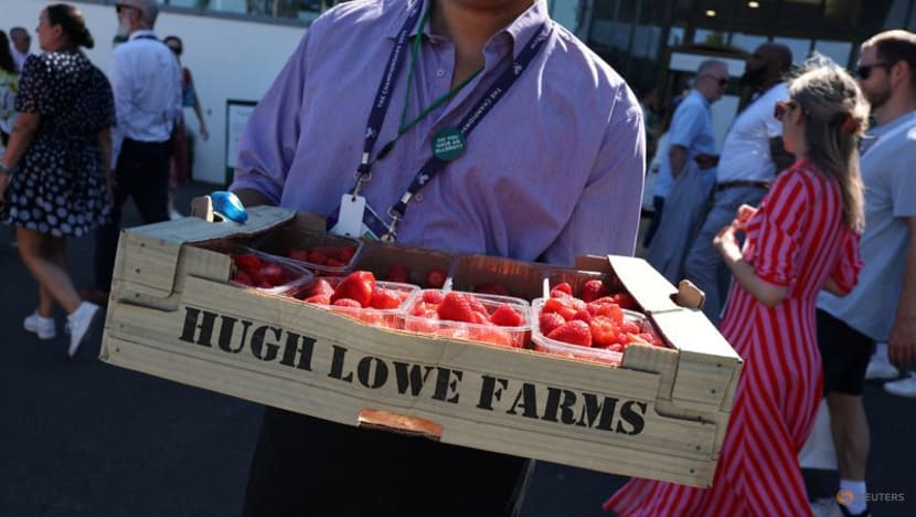 Wimbledon's strawberry champion faces rivals for its crown