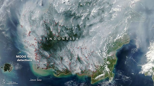 NASA侦测到印尼地表和地下都有林火燃烧 低温闷烧蔓延扑灭难