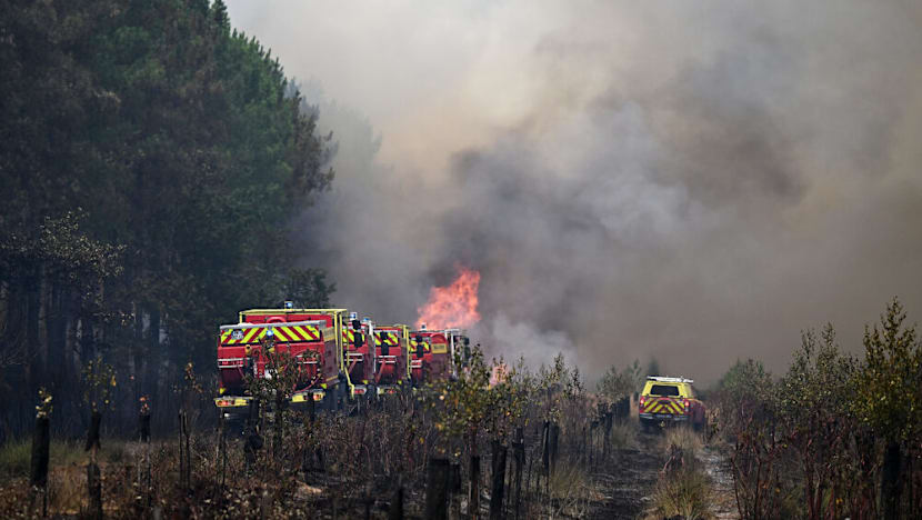 Farmers help battle French forest inferno before new heatwave