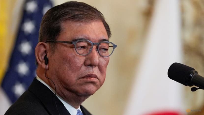 Japan eyes tariff relief with 'package' of measures: PM