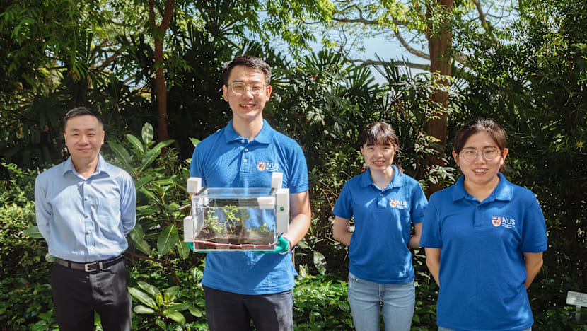 NUS researchers create 'smart farm' that harvests water from air using new hydrogel