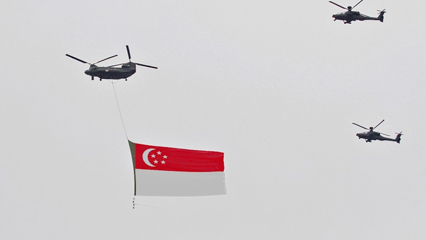 50 aircraft to dazzle NDP crowd with special formation