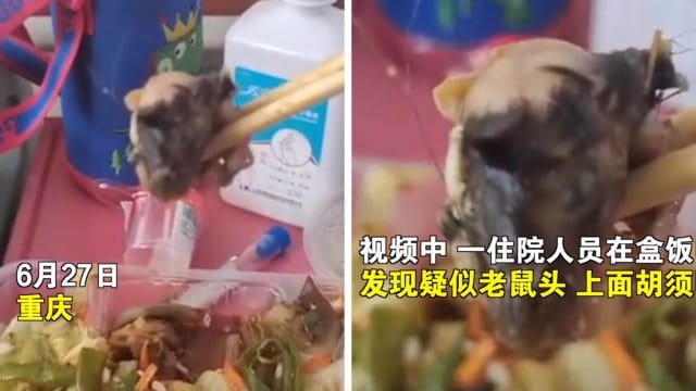 中国又有盒饭吃出鼠头 重庆医院：正在调查