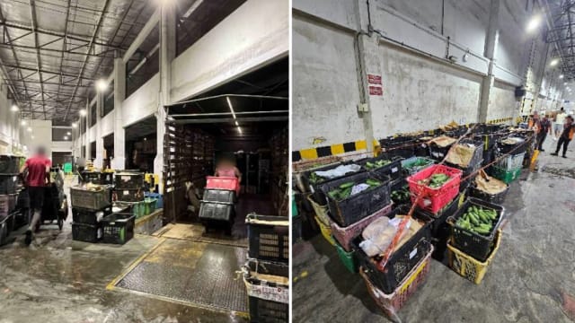 当局展开联合执法行动 起获从马国非法进口约3公吨蔬菜