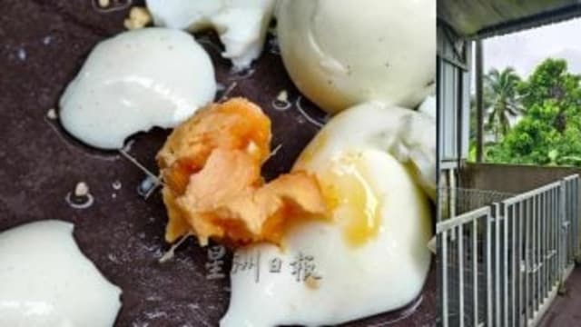 水煮蛋插满针喂狼狗 马国屋主揭贼徒恶行