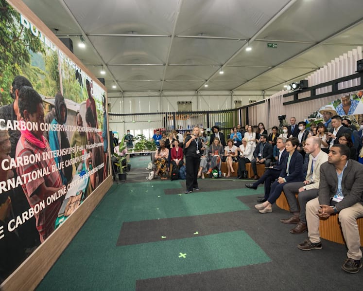 International Blue Carbon Institute to be set up in Singapore 