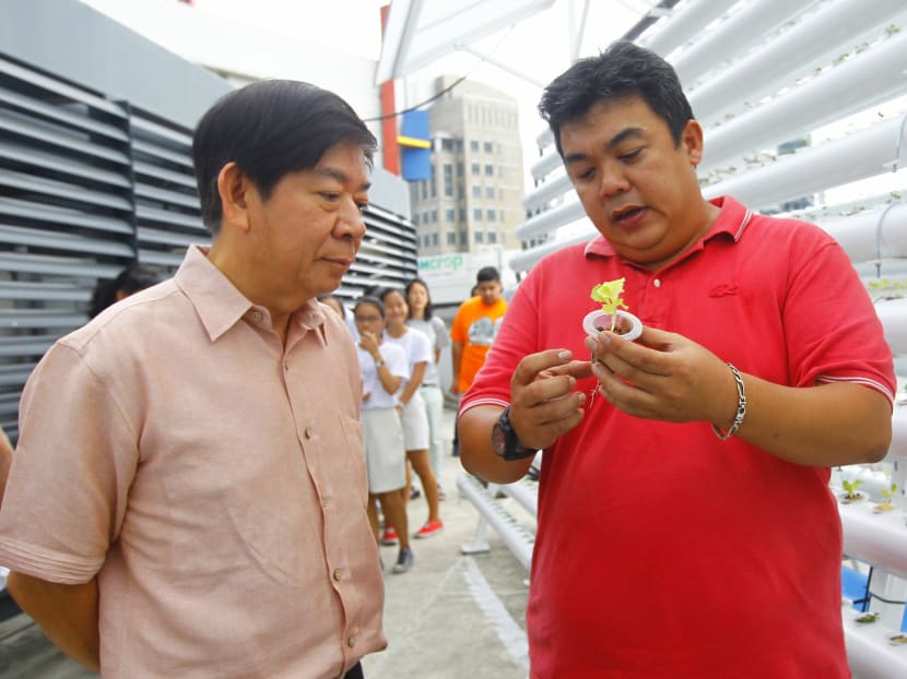 S’pore’s 1st rooftop farm aims to supply produce to F&B outlets