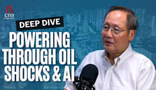 Deep Dive - Singapore's fuel stockpile for electricity 'enough to last for months' in a crisis: Tan See Leng