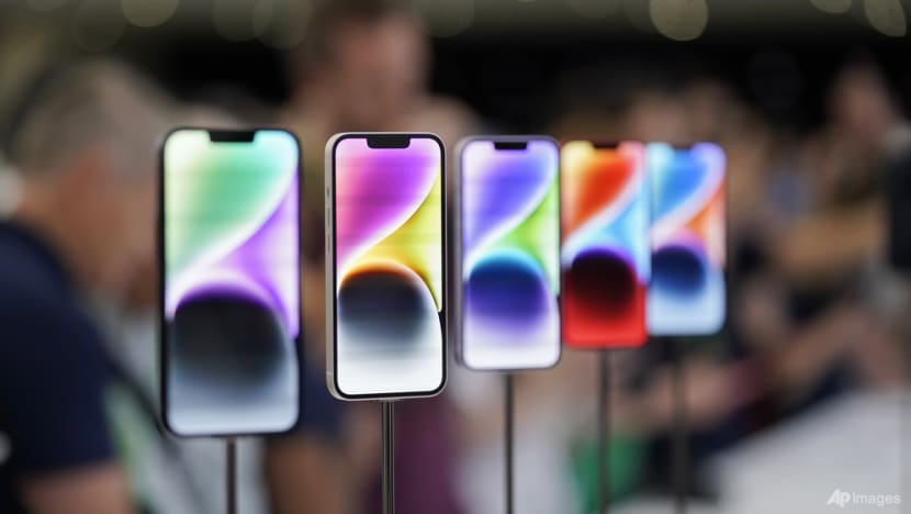 ‘Vulnerability’ found in iPhones and iPads, SingCERT advises Apple users to update for security patch ‘Vulnerability’ found in iPhones and iPads, SingCERT advises Apple users to update for security patch