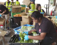 Charities call for more nutritious food donations as demand among seniors increases