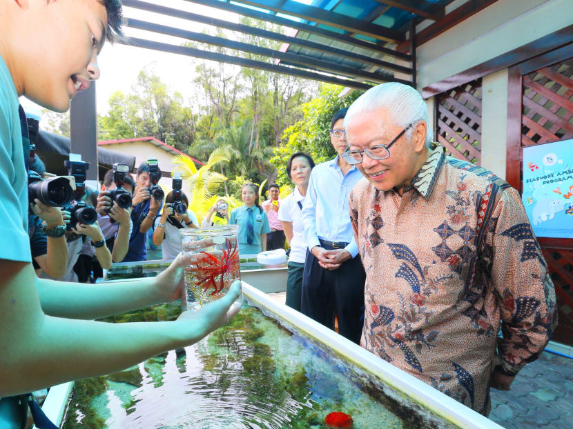 Sisters’ Island Park Public Gallery opens