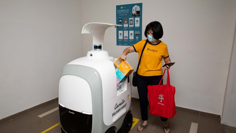 Coming to selected Punggol residents: Robot delivery of groceries, parcels
